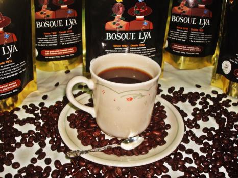 Bosque Lya Tim Kuhns Bosque Lya