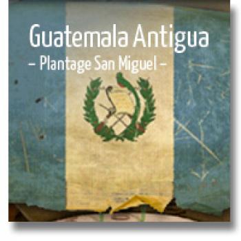 delMocca Kaffeer&ouml;sterei GUATEMALA ANTIGUA Plantage San Miguel