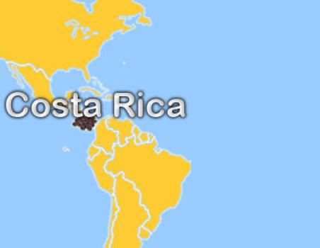 Die R&ouml;sterei Costa Rica Tarrazu Rio Jorco Estate