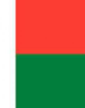 Gebrand Madagascar Arabica Coffee, Unwashed, Ambatomenaloha, Bourbon, Sundried Arabica, Organic