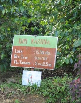 Gebrand Indonesia, Washed Arabica, Sumatra, Wahana Plantation, Rasuna