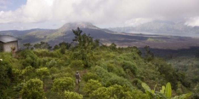 Grandoro Gourmetkaffee Costa Rica Royal Tarrazu