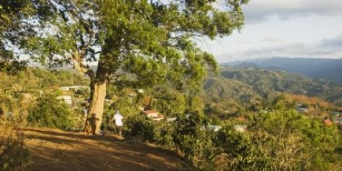 Grandoro Gourmetkaffee El Salvador SHG Fancy Diamante