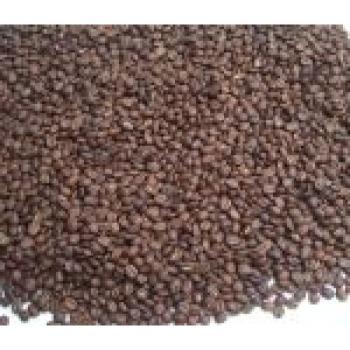 Kaffee Fredo Espresso San Marco