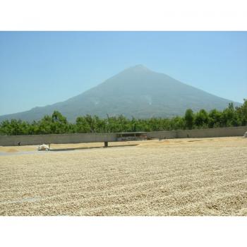 Kaffee Fredo Hausmischung