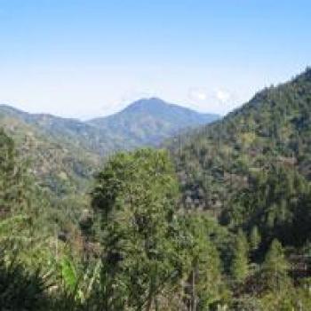 R&ouml;sterei B&ouml;gl Jamaica - Blue Moutain