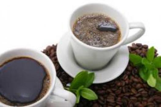 R&ouml;sterei B&ouml;gl Costa Rica - Green Mountains SHB