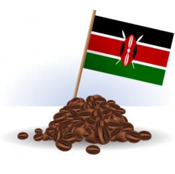 R&ouml;sterei Fuchs Kenya AA