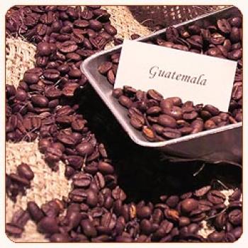 R&ouml;sterei Kaffeekultur Guatemala San Sebastian
