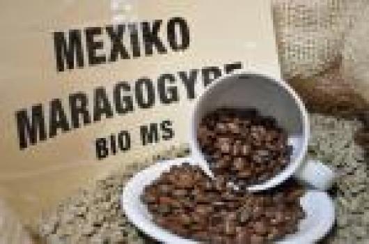 R&ouml;sterei Moccafair Moccafair Maragogypes Chiapas Bio