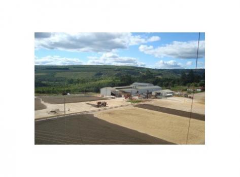 Schamong Kaffee BRASIL FAZENDA PRIMAVERA