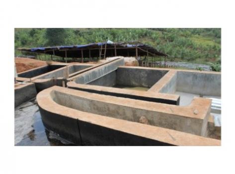 Schamong Kaffee BURUNDI KAYMURA MICRO-LOT